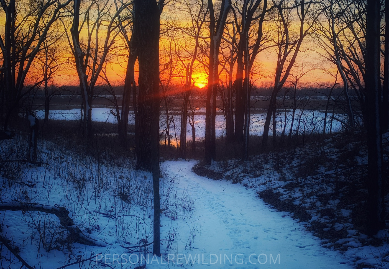 Benefits of Walking in Nature