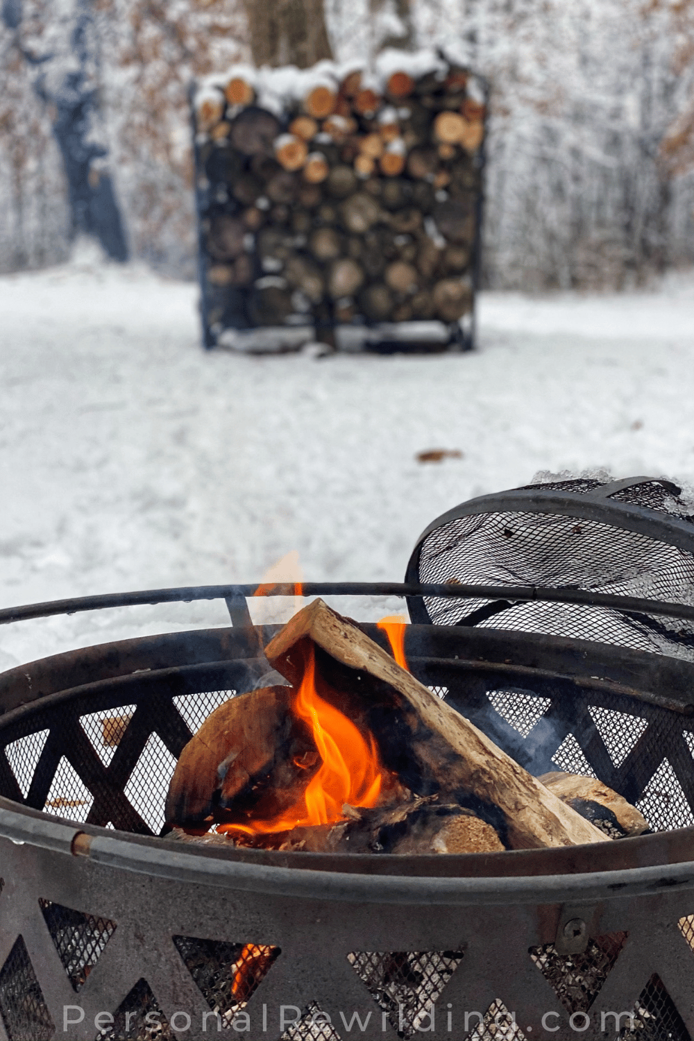 Winter Campfire