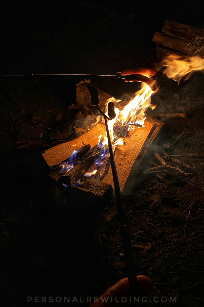 8 Reasons to go camping in nature - campfire food, roasted hot dogs
