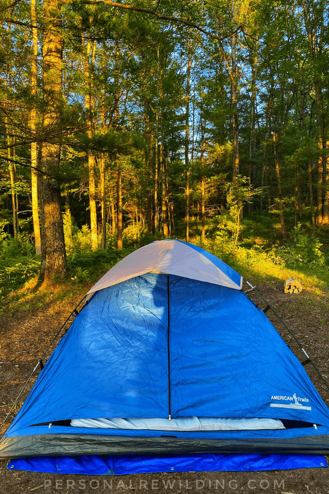8 Reasons to get out camping in nature! Personal Rewilding