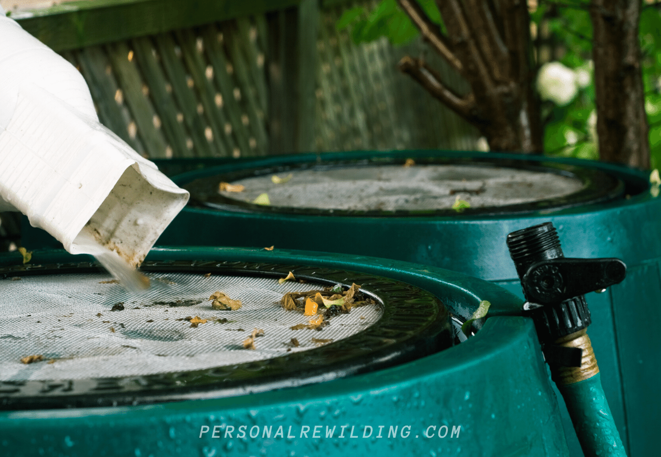 How to Collect Rainwater for Reuse