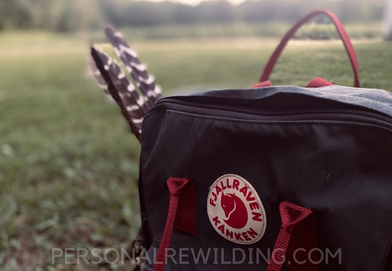 Decorating with collected feathers - Personal Rewilding