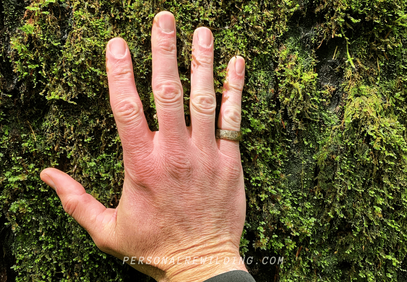 Connect with Nature and the natural world around you...