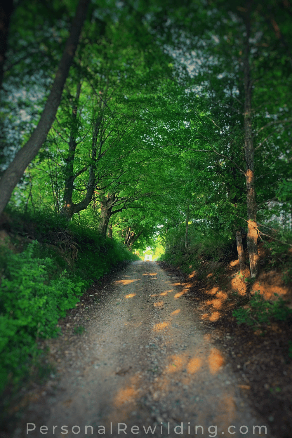 Take the Scenic Route