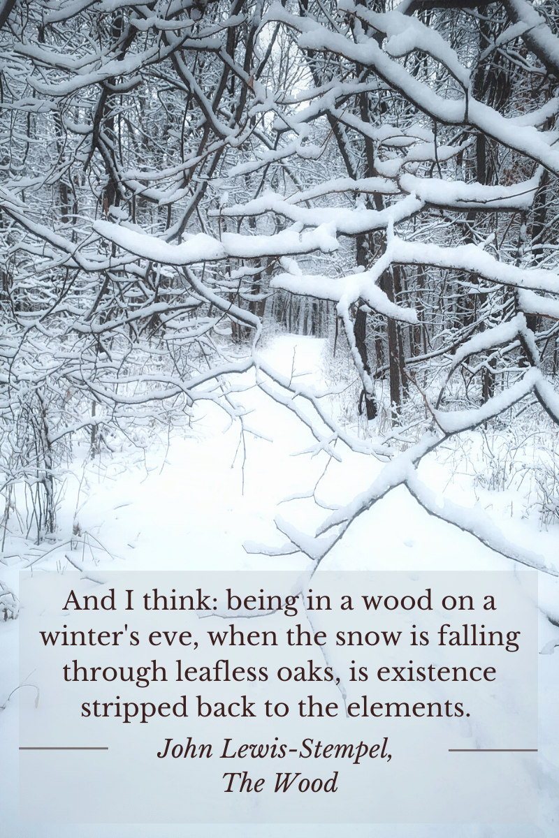 John Lewis-Stempel quote about walking in nature, woodlands, and solitude.