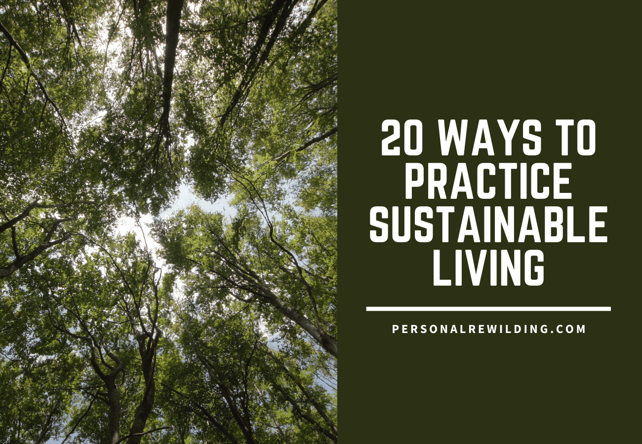 20 Sustainable Living Ideas - PersonalRewilding.com