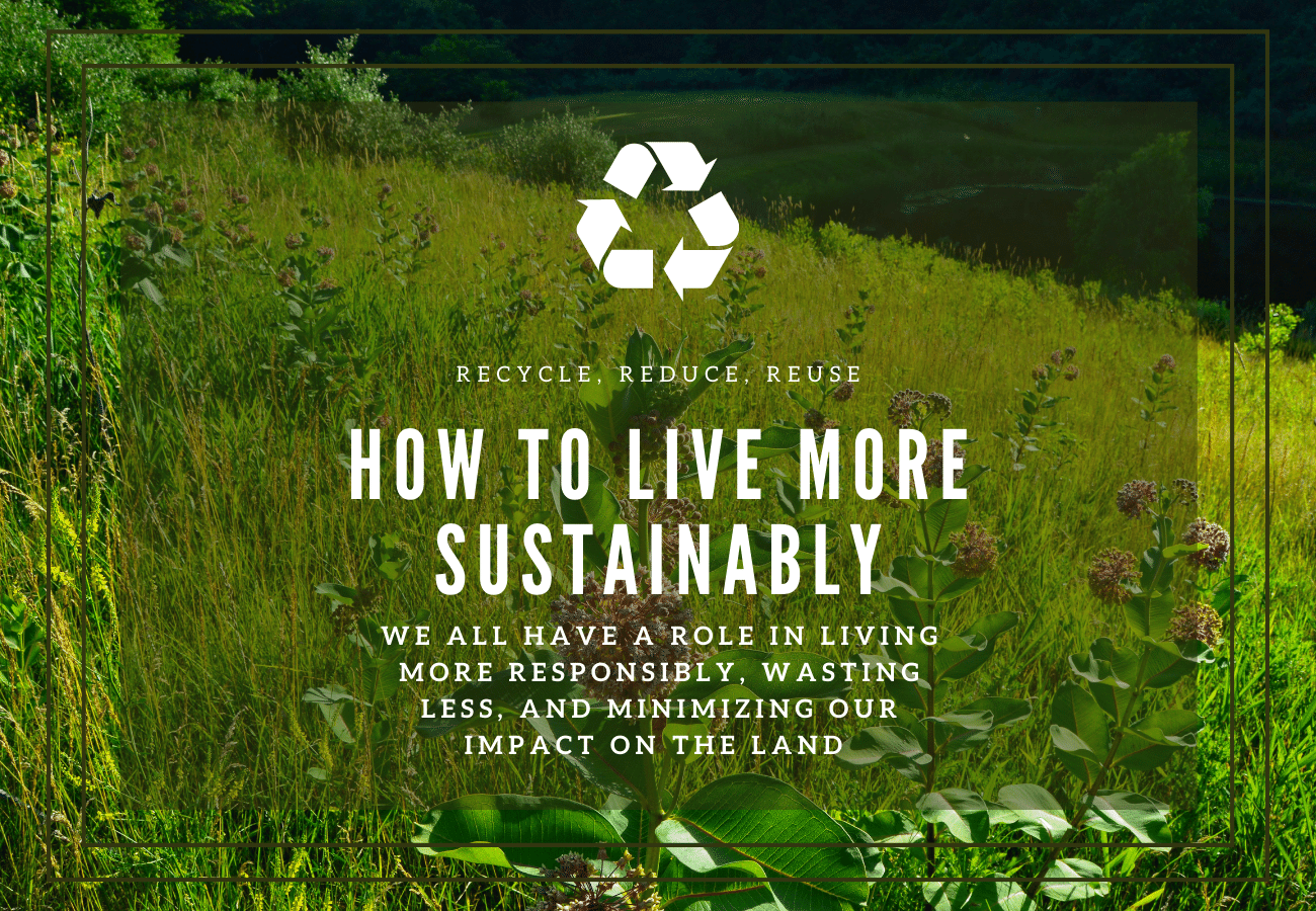 How to Live Sustainably - 20 Sustainable Living Tips from PersonalRewilding.com