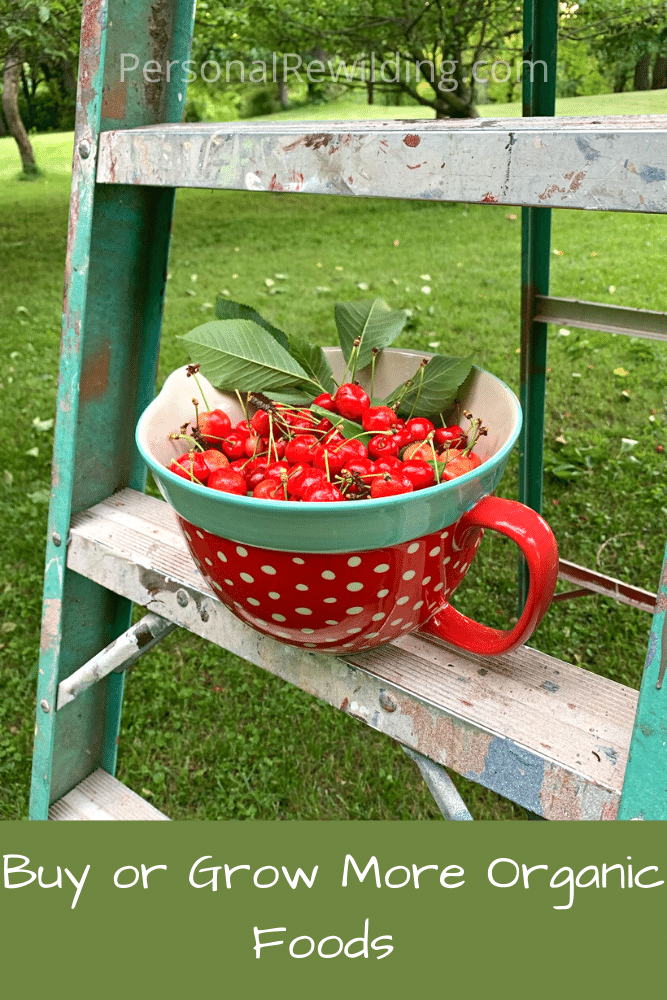 Buy or grow more organic foods - 20 sustainable living ideas from PersonalRewilding.com