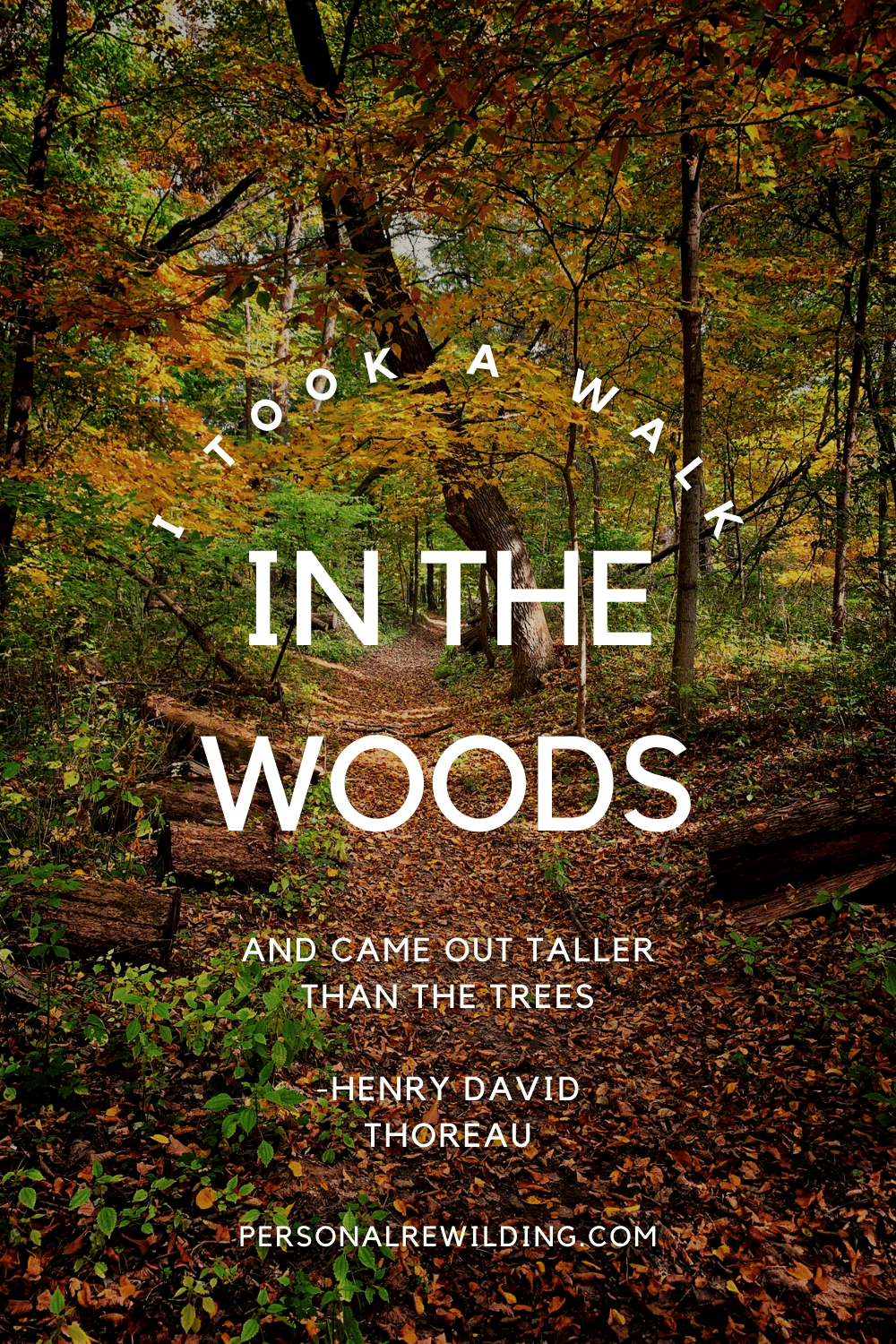 Henry David Thoreau quote about walking in nature.