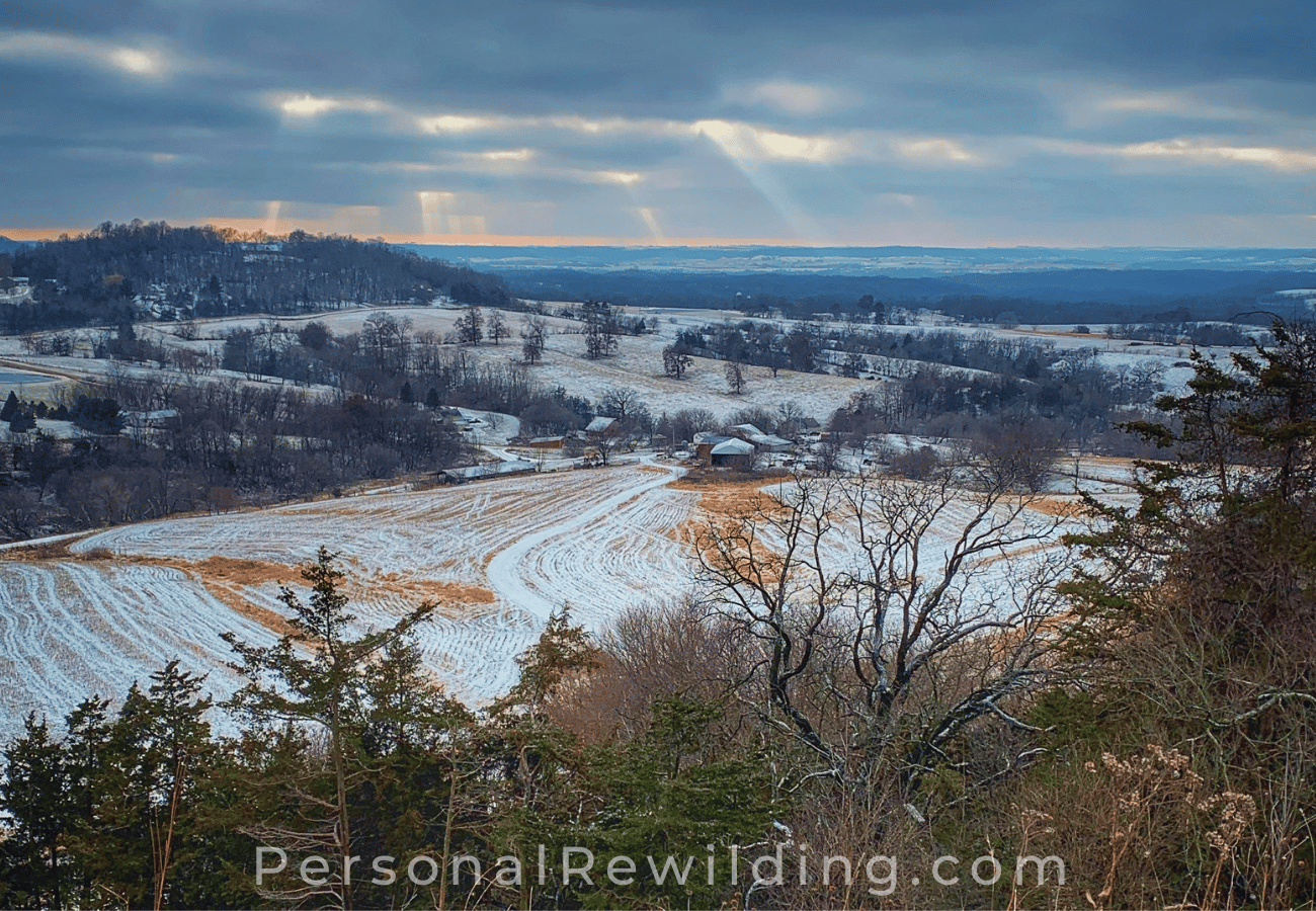 Walking in Winter - a snowy winter landscape