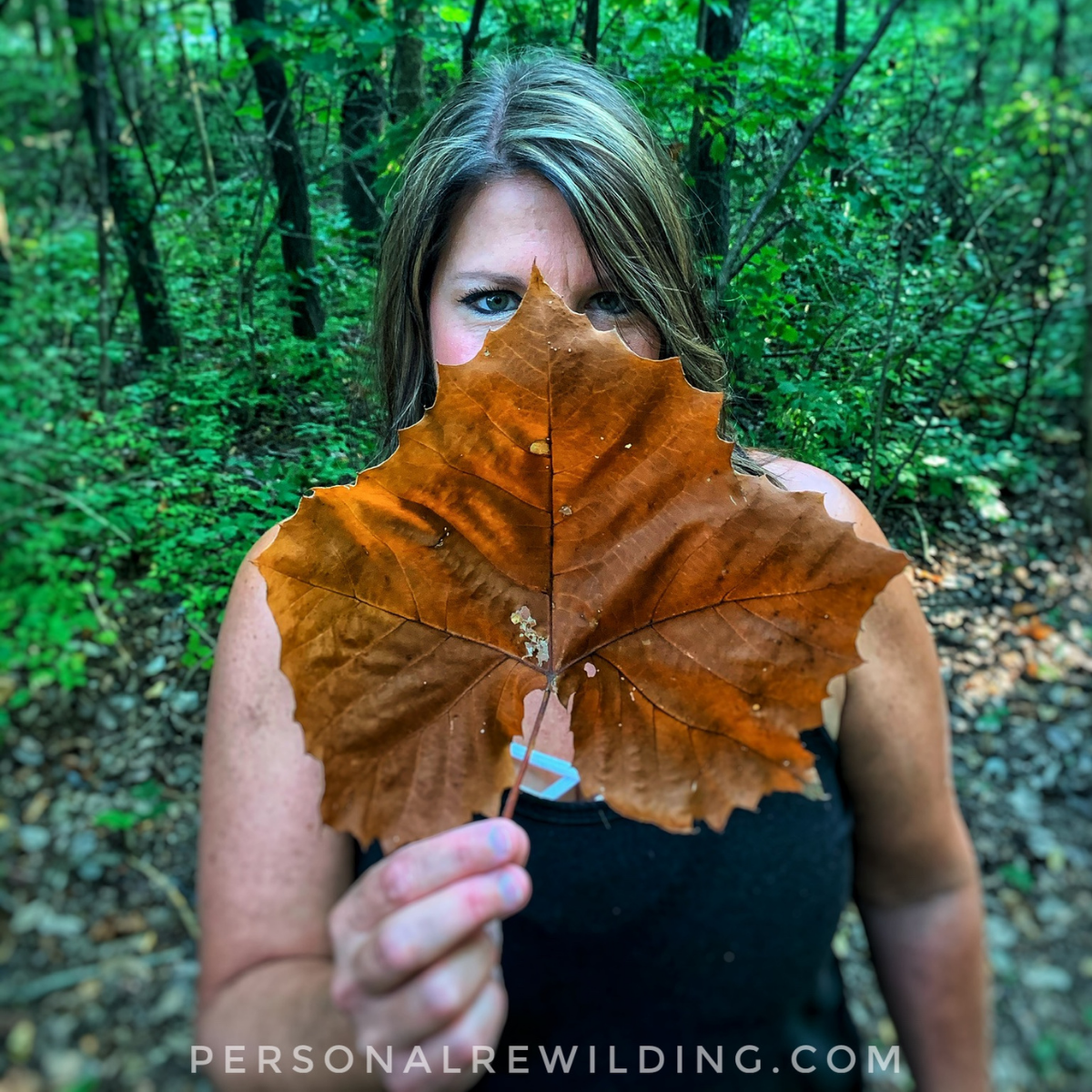 Walking in Nature, Attention to Nature