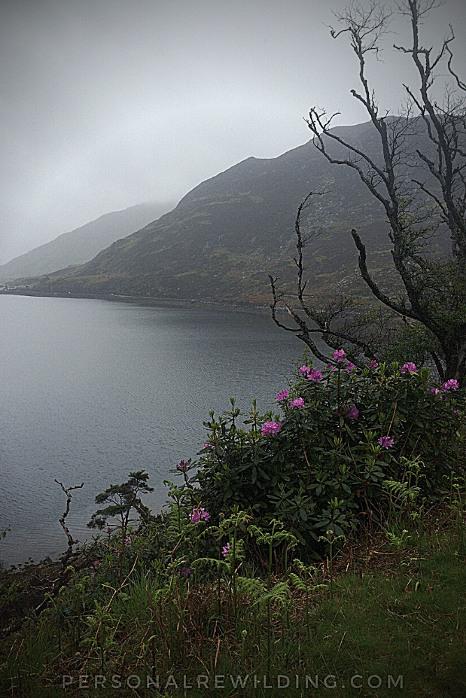 Walking in the Rain Achill Island, Ireland