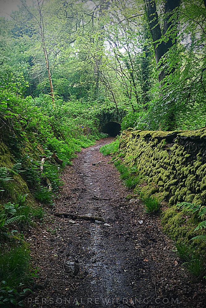 Rain in Polperro, Cornwall