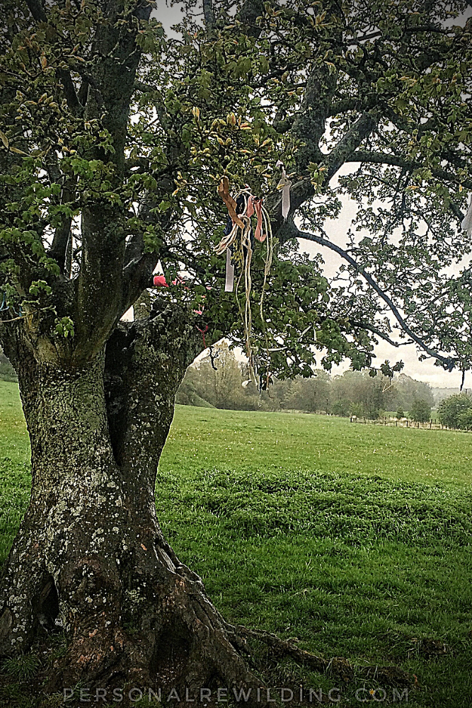 Walking in the Rain, walking in nature