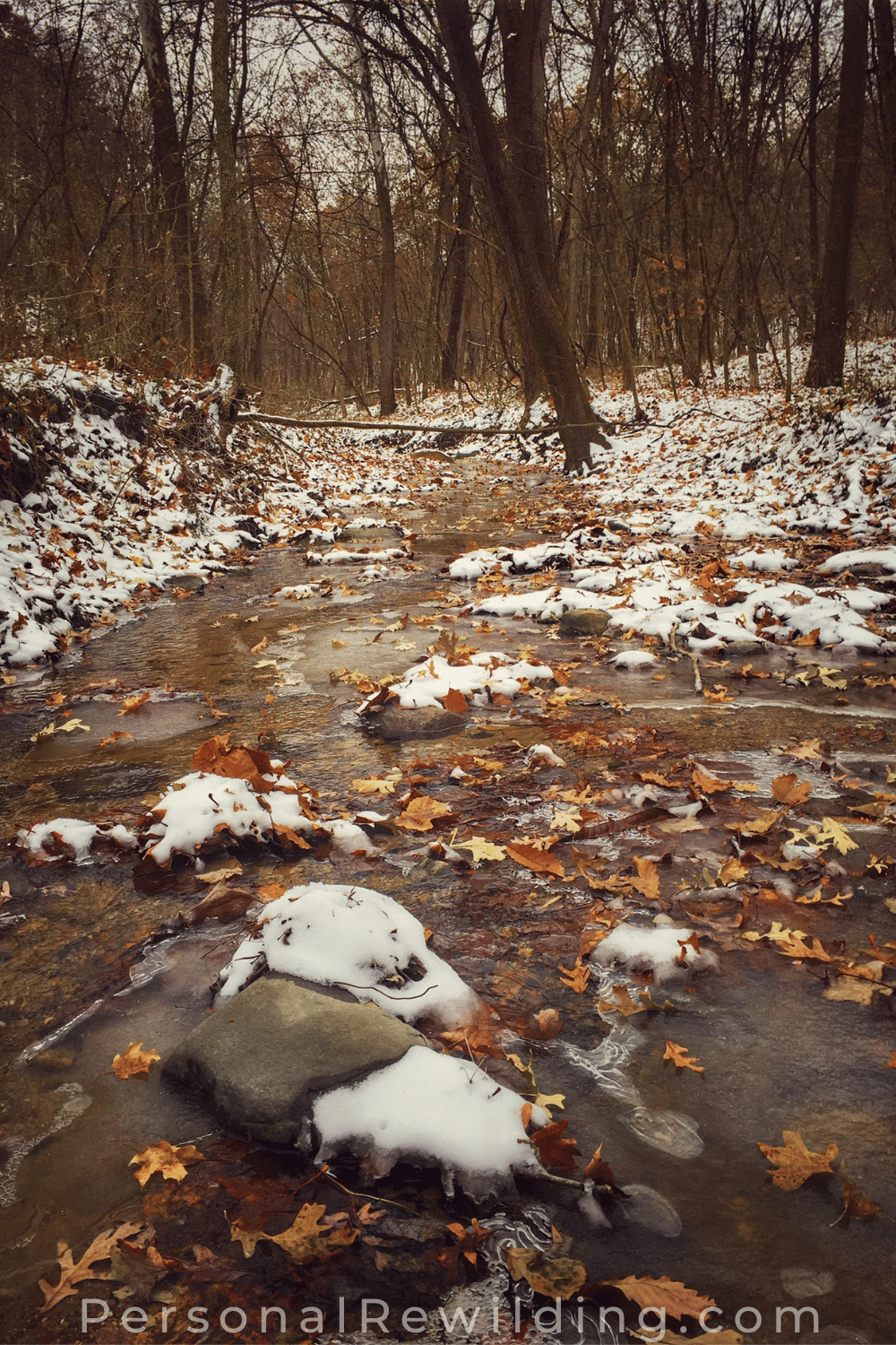 Walking in Winter - snow on a frozen winter creek