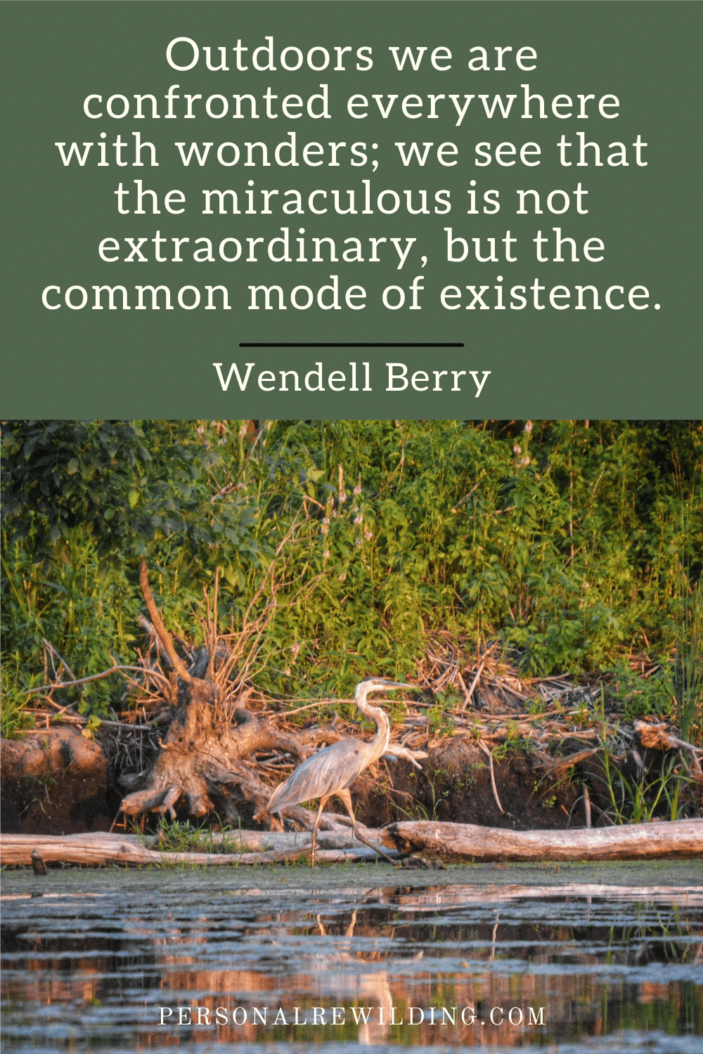 Wendell Berry quote about walking in nature and connecting with the earth.